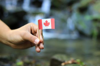 Colour man has in hand national flag of Canada on wooden stick. He waves with state symbol near a river. In the background are beautiful canadian waterfalls. Canadian expat placing small Canadian flag in ground overseas