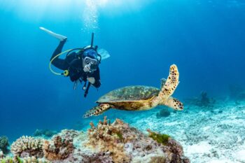 adventure-travel-scuba-diving A scuba diver taking a photo of a Hawksbill Turtle swimming over coral reef in the blue sea as part of their adventure travel experience