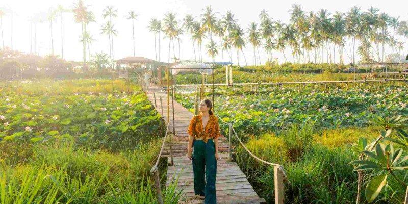 a woman walking through paddy fields in Thailand, one of the cheapest countries to live in